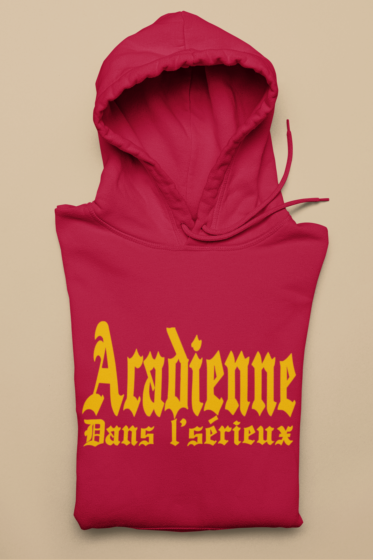 ACADIENNE DANS L'SÉRIEUX  HOODIE - UNISEX