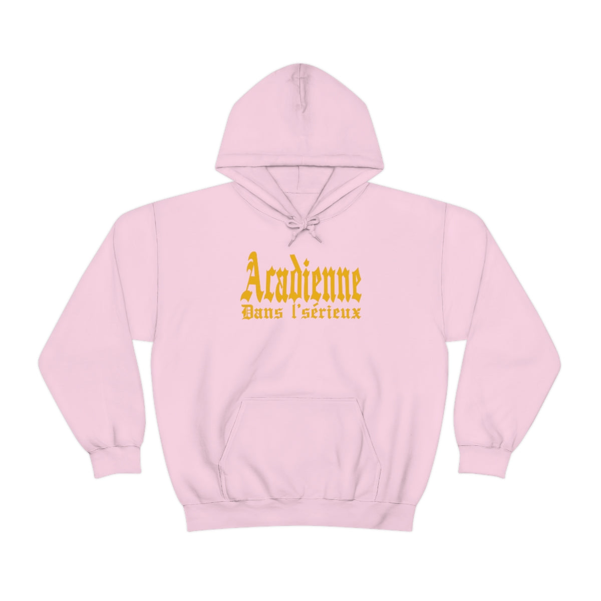 ACADIENNE DANS L'SÉRIEUX  HOODIE - UNISEX