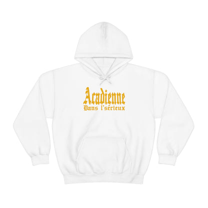 ACADIENNE DANS L'SÉRIEUX  HOODIE - UNISEX